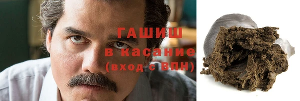 прущие грибы Абаза