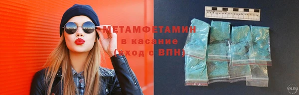 прущие грибы Абаза