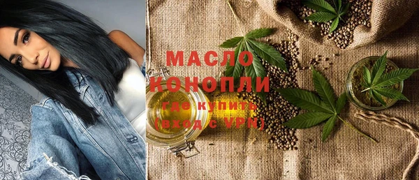 молекула духа Грязовец