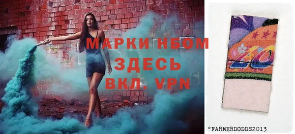 прущие грибы Абаза