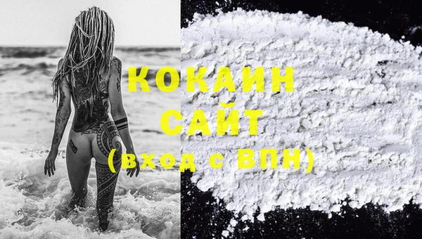 прущие грибы Абаза