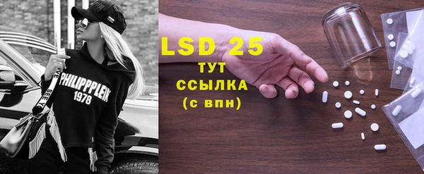 прущие грибы Абаза