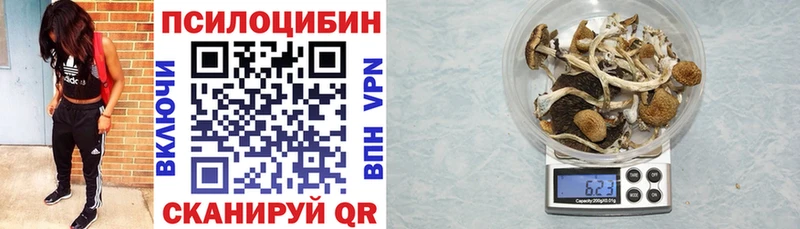 Псилоцибиновые грибы Psilocybe  Дятьково 
